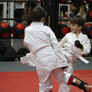 Unlocking the Power Within Martial Arts for Kids